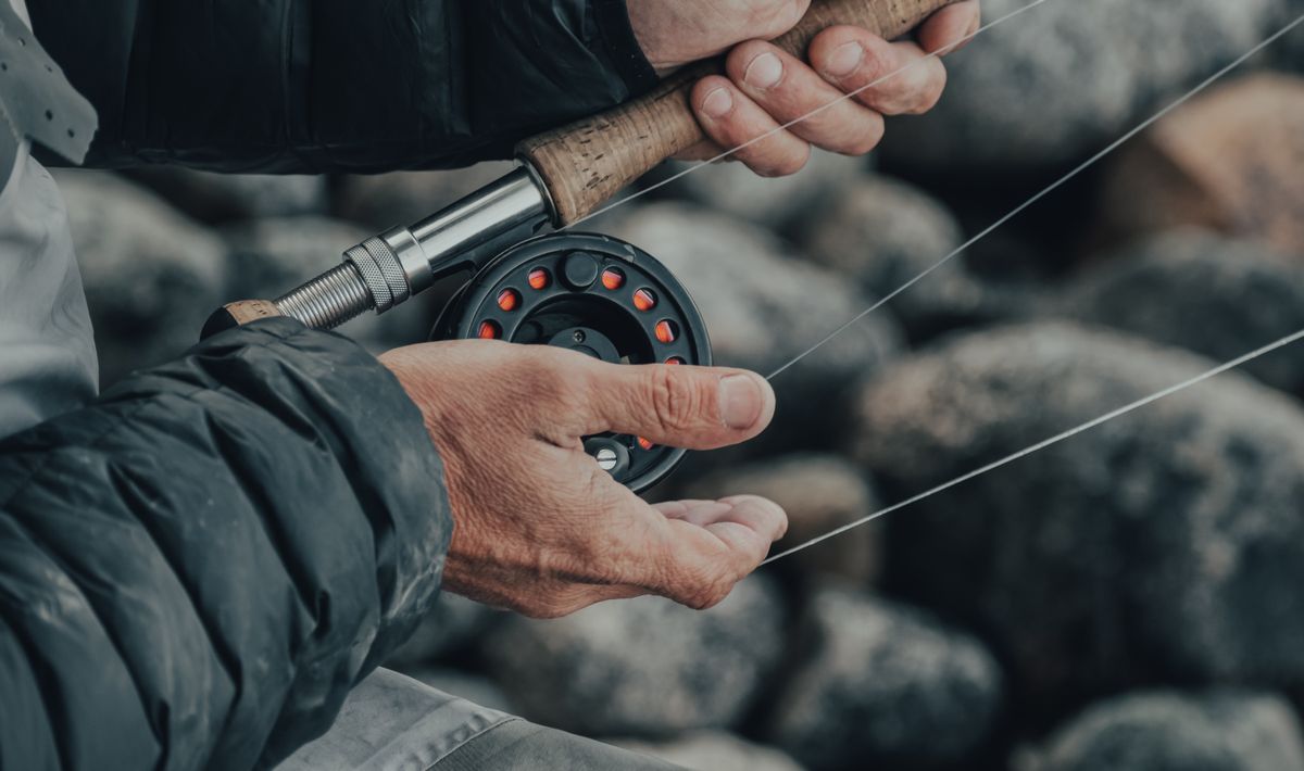 Choose the Best Fly Fishing Reel for Your Freshwater and Saltwater Needs